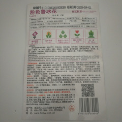 Orange zinnia elegans seeds 50 seeds/bags