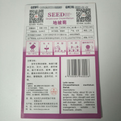 ground-cover chrysanthemum seeds 30 seeds/bags