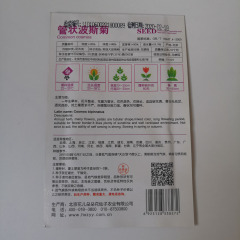 white cosmos seeds 50seeds/bags