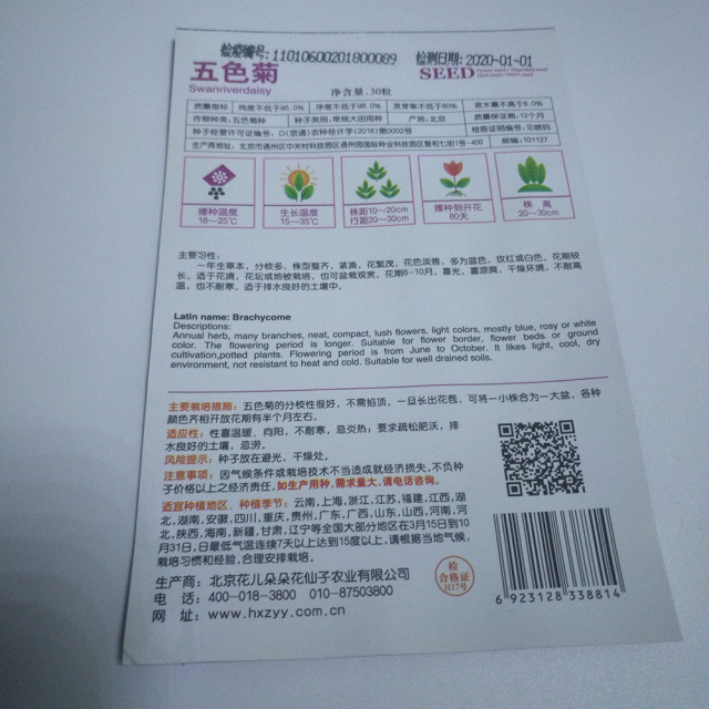 Brachycome iberdifolia seeds 30 seeds/bags