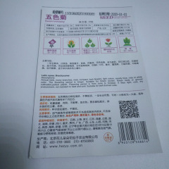 Brachycome iberdifolia seeds 30 seeds/bags