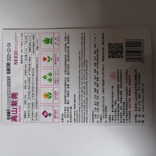 alpine aster seeds 50 seeds/bags