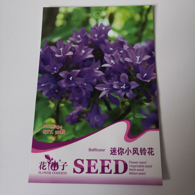 Mini bellflower seeds 50 seeds/bags