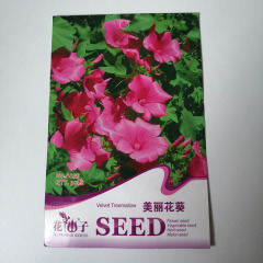 tree mallow seeds 30 seeds/bags
