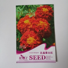Red french marigold seeds 50 seeds/bags