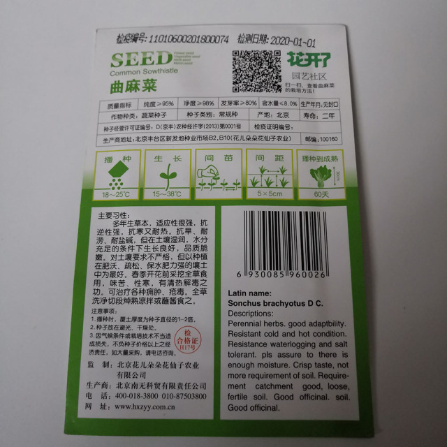 Red chicory seeds 30 seeds/bags