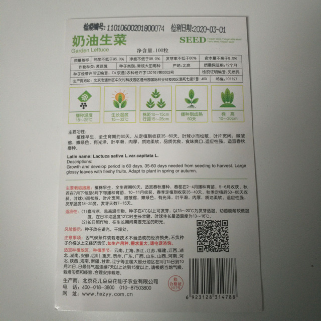 Garden lettuce seeds 100 seeds/bags