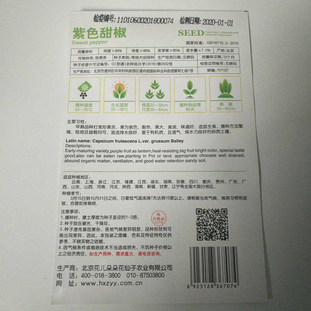Purple sweet pepper seeds 8 seeds/bags