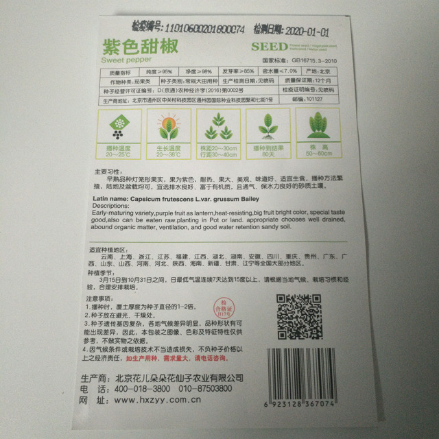 Purple sweet pepper seeds 8 seeds/bags