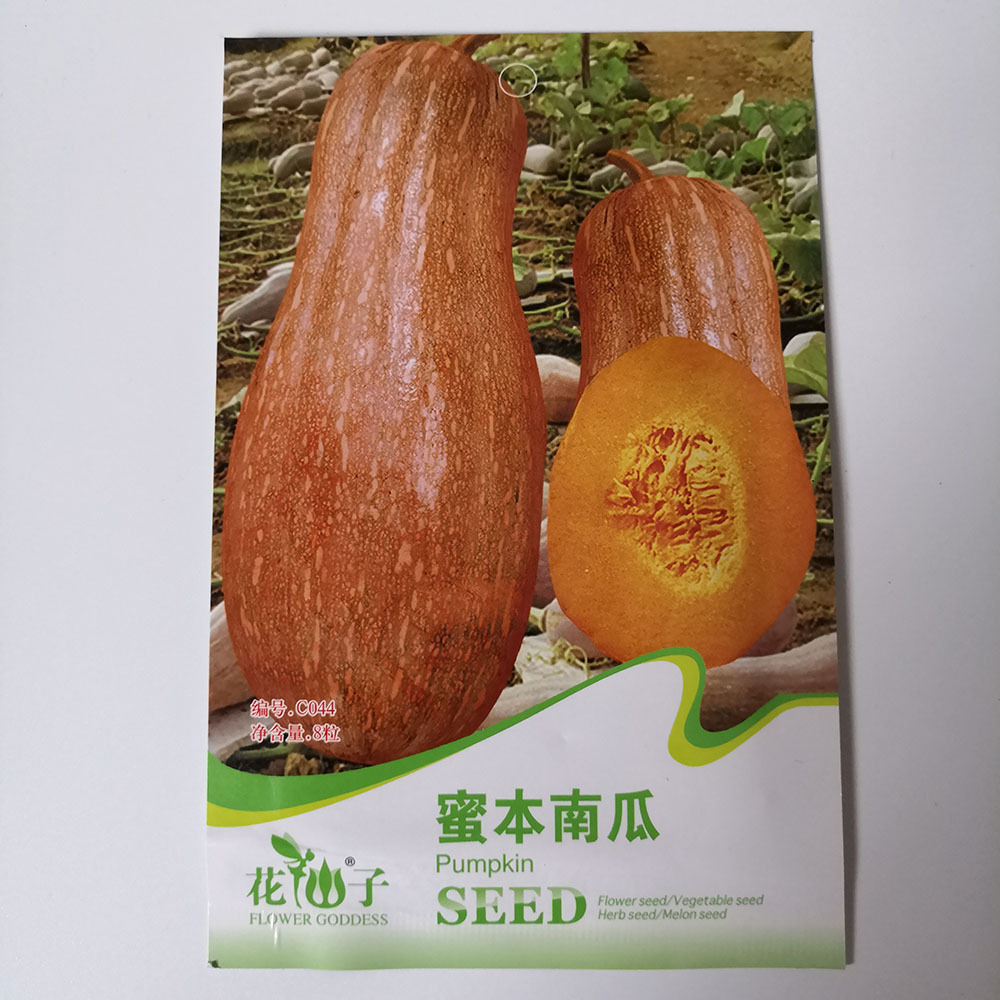 Pumpkin seeds 8 seeds/bags