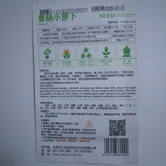 chinese red radish seeds 20 seeds/bags