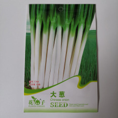 Chinese onion seeds 80 seeds/bags