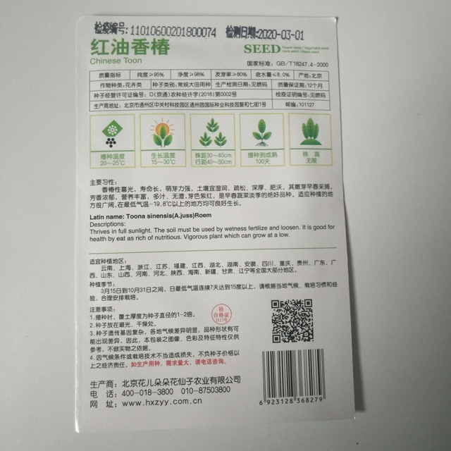 Toona sinensis seeds 20 seeds/bags