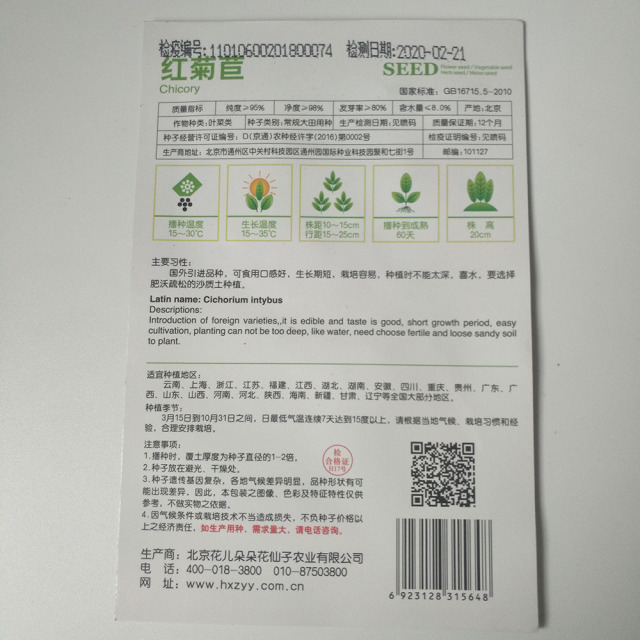 Red chicory seeds 30 seeds/bags