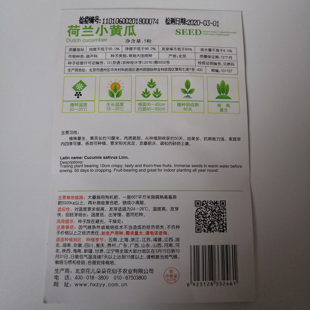Dutch cucumber seeds 5 seeds/bags