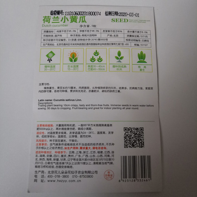 Dutch cucumber seeds 5 seeds/bags