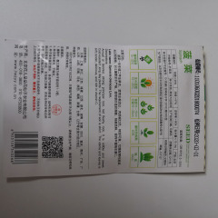 Spinach seeds 80 seeds/bags