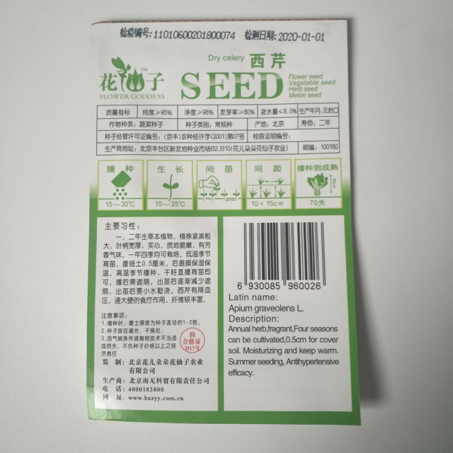 Giant celery seeds 20 seeds/bags