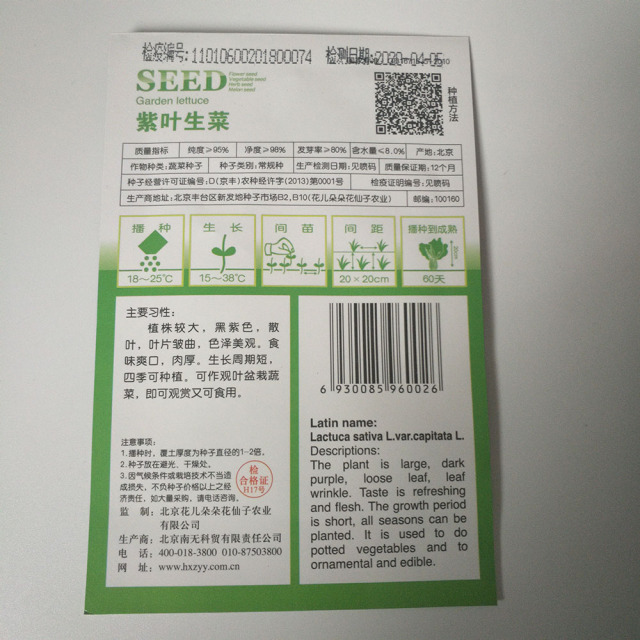 Purple lettuce seeds 30 seeds/bags