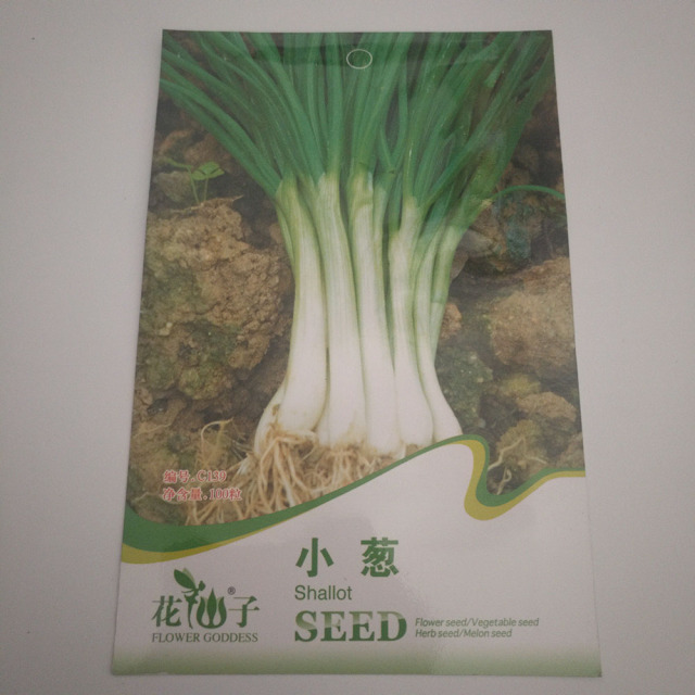 shallot seeds 100 seeds/bags