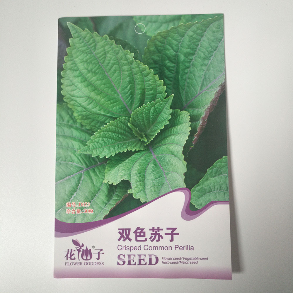 Crisp common perilla seeds 30seeds/bags