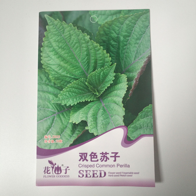 Crisp common perilla seeds 30seeds/bags