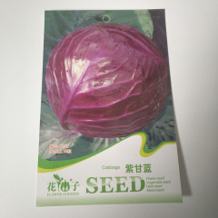 Red cabbage seeds 10 seeds/bags