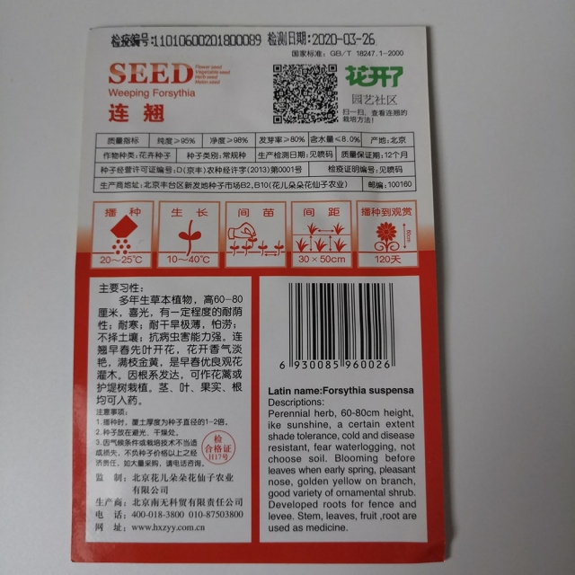 fructus forsythiae seeds 20 seeds/bags