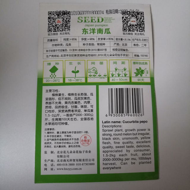 Japan pumpkin seeds 8 seeds/bags