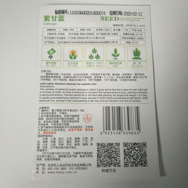 Red cabbage seeds 10 seeds/bags