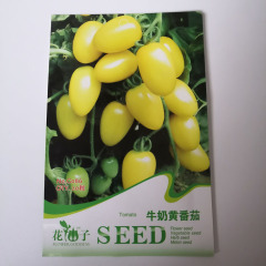 Yellow tomato seeds 20 seeds/bags
