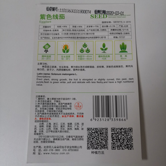 Purple eggplant seeds 15 seeds/bags