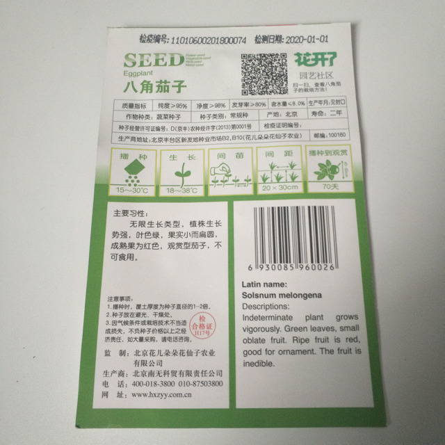 Red pumpkin seeds 20 seeds/bags