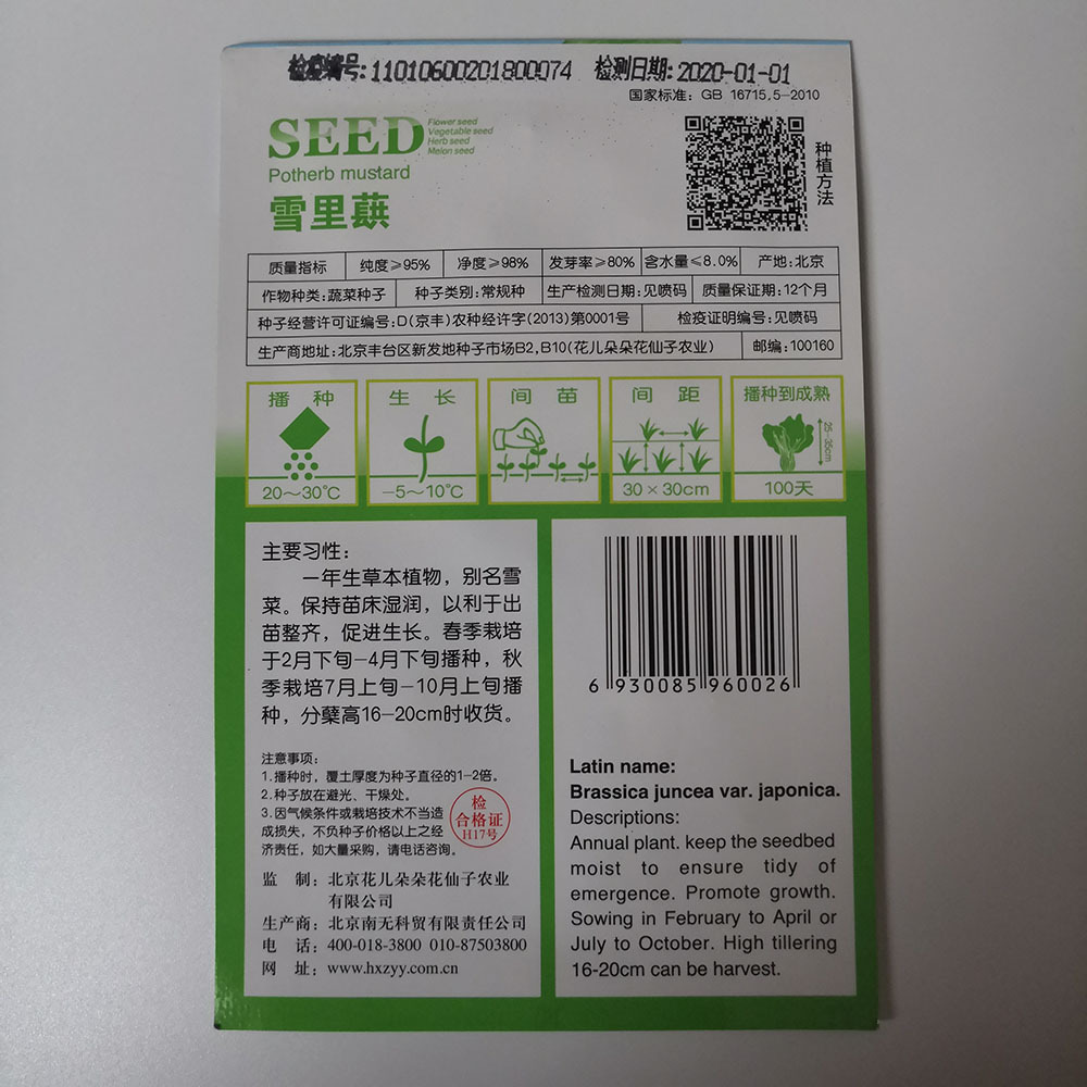 potherb mustard seeds 50 seeds/bags