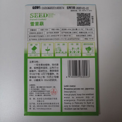 potherb mustard seeds 50 seeds/bags