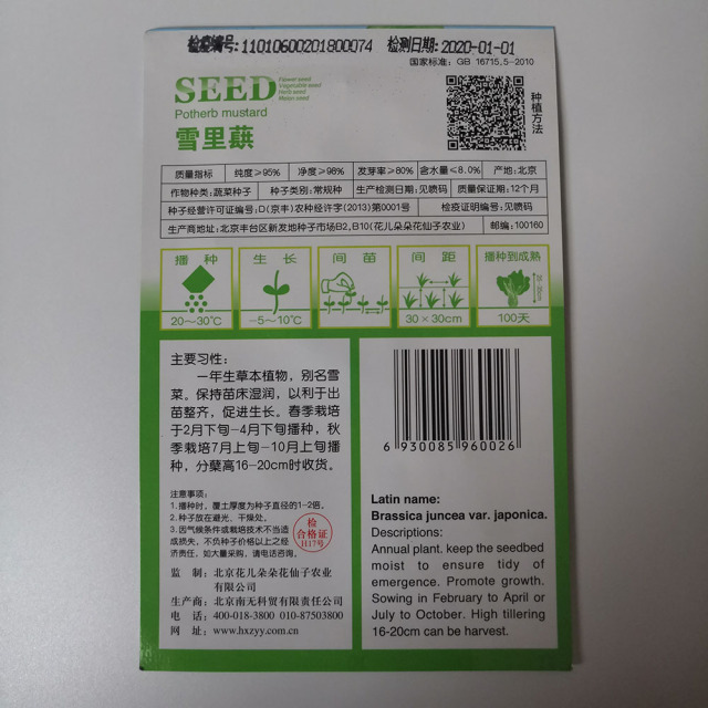 potherb mustard seeds 50 seeds/bags