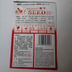 Blackberrykiky Rhizome seeds 10 seeds/bags