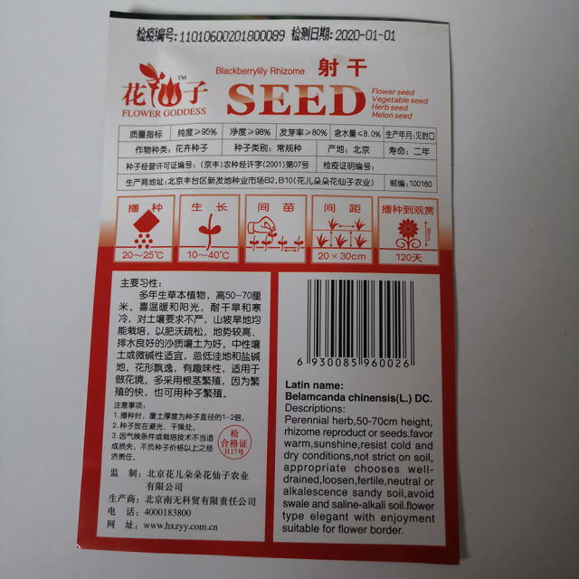 Blackberrykiky Rhizome seeds 10 seeds/bags