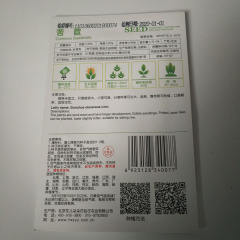 endive seeds 60 seeds/bags