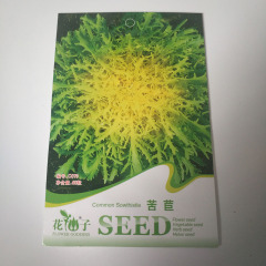 endive seeds 60 seeds/bags