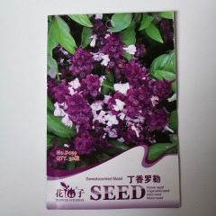 Clove Basil seeds 30 seeds/bags
