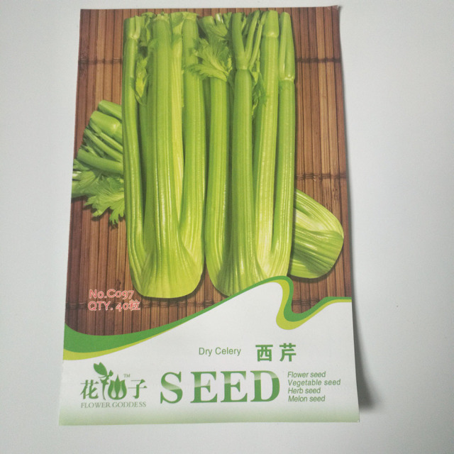 Giant celery seeds 20 seeds/bags