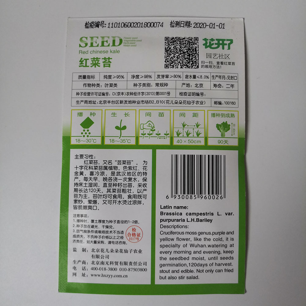 Red Chinese kale seeds 40 seeds/bags