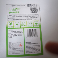 Red Amaranth seeds 30 seeds/bags