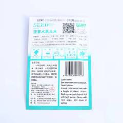 Yellow Mazie seeds 10 seeds/bags