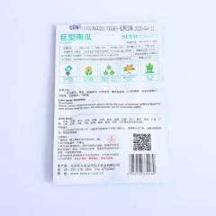 Giant pumpkin seeds 5 seeds/bags