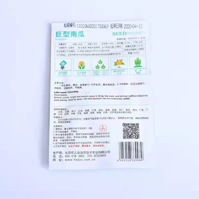 Giant pumpkin seeds 5 seeds/bags