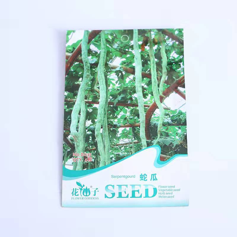 snake gourd seeds 4 seeds/bags
