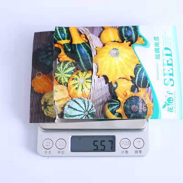 Doll pumpkin seeds 10 seeds/bags