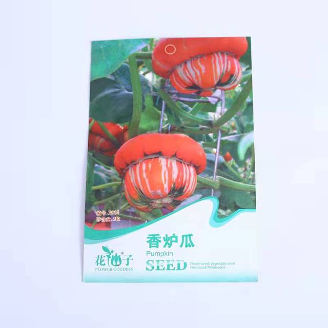 Ornamental pumpkin seeds 5 seeds/bags